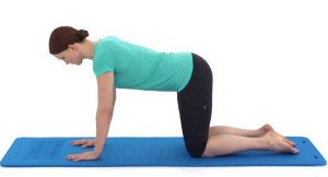 core exercises for lower back pain