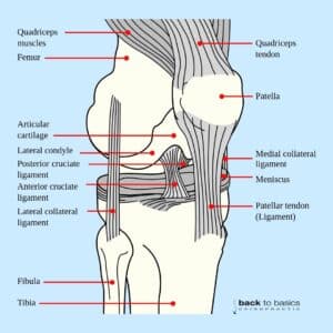 ACL injury