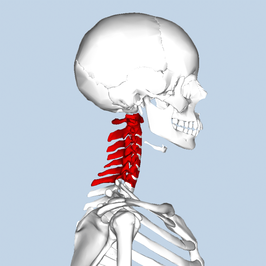 Do i have a pinched nerve 